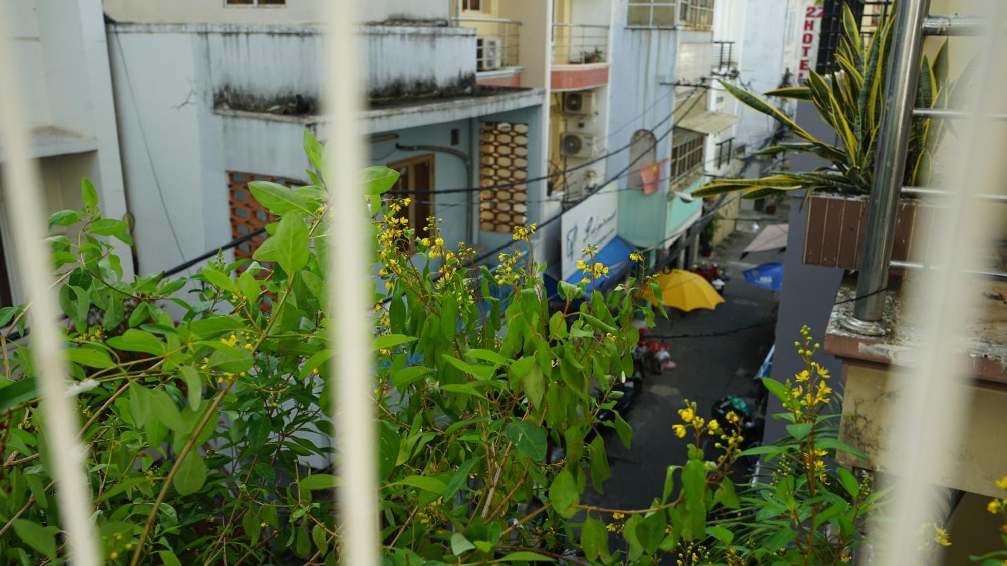 Maiam Homestay Hô Chi Minh-Ville Extérieur photo